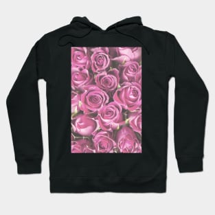 Pale Pink Roses Photo Hoodie